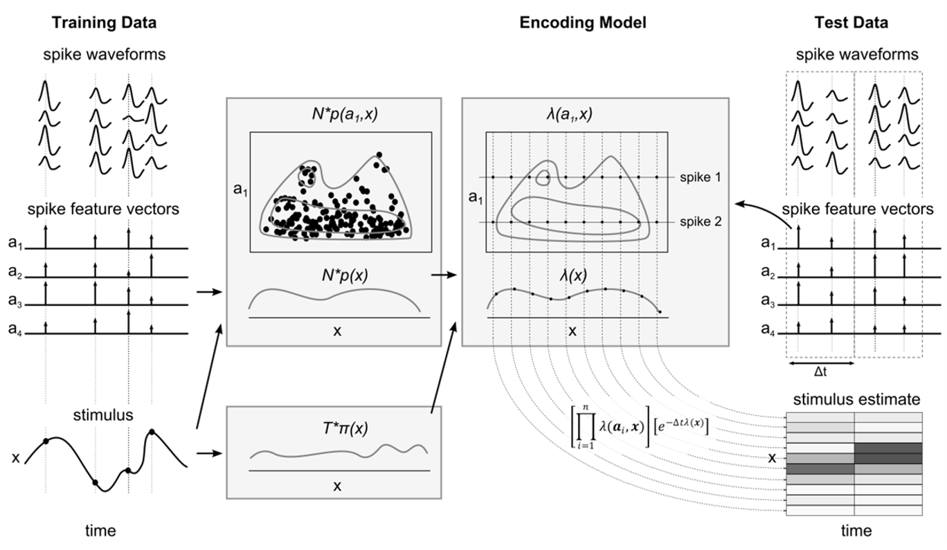 spike sorting less decoding